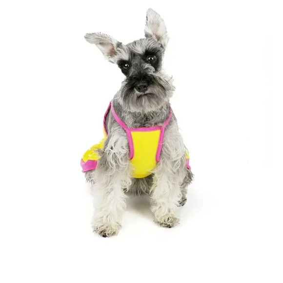 Vibrant life dog dress Medium nwt - Picture 3 of 4